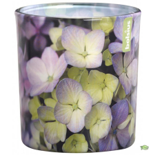 Bolsius üvegpoharas illatmécses hortenzia 80 mm x 70 mm gyertya