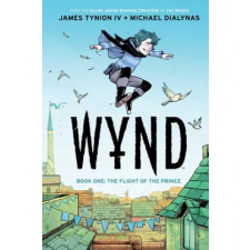 Boom! Studios Wynd Book One: Flight of the Prince | Michael Dialynas egyéb könyv