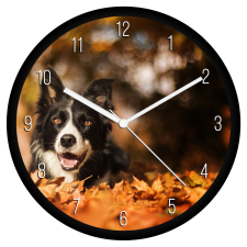  Border collie falióra falióra