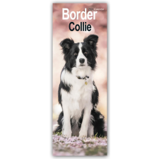  Border Collies 2024 naptár, kalendárium