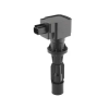 BorgWarner (BERU) gyújtótekercs ZS618