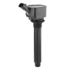 BorgWarner (BERU) gyújtótekercs ZS619