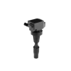 BorgWarner (BERU) gyújtótekercs ZSE301