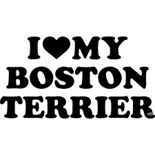  Boston terrier matrica 15 matrica