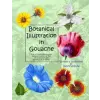  Botanical Illustration in Gouache: Easy to Follow Step by Step Demonstrations to Create Detailed Botanical Illustrations – Sandy Williams