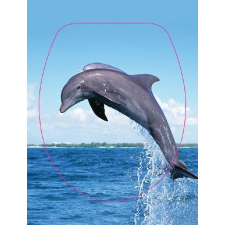  BRH Delfines wc tető takarító és háztartási eszköz