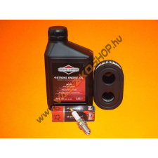 Briggs & Stratton Karbantartó csomag Briggs & Stratton Exi barkácsgép tartozék