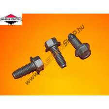 Briggs & Stratton Motor felfogató csavar Briggs , Tecumseh barkácsgép tartozék