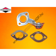 Briggs & Stratton Termosztát Briggs 793498 barkácsgép tartozék