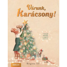 Brigitta Sif - Várunk, Karácsony! - A legszebb ajándék az együtt töltött idő gyermek- és ifjúsági könyv