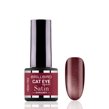 BrillBird - CAT EYE SATIN - Burgundy - 4ml - THF lakk zselé