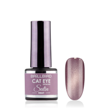 BrillBird - CAT EYE SATIN - Violet - 4ml - THF lakk zselé
