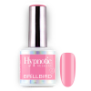 BrillBird - Hypnotic Gel&amp;Lac - HEMA Free - 70 - 8ml