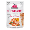 Brit Brit Care Cat Fillets in Gravy - Salmon 24 x 85 g