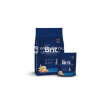 Brit Brit Premium Kitten Chicken 0 8 kg