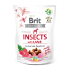 Brit Care Brit Care Dog Crunchy Cracker Insects with Lamb and Raspberries 200 g