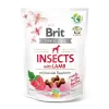 Brit Care Dog Crunchy Cracker Insects with Lamb and Raspberries 200g