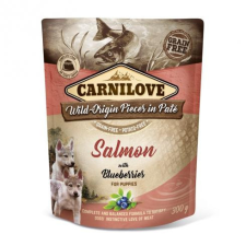 Brit Carnilove Dog Puppy tasakos Paté Salmon with Blueberries - Lazac áfonyával 300g kutyaeledel