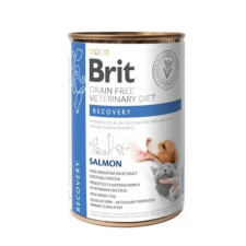 Brit GF Veterinary Diets Dog + Cat Can Recovery 400 g kutyaeledel