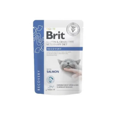  Brit Grain Free Veterinary Diets Recovery cat 85 - macska alutasakos macskaeledel