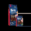  Brit Premium by Nature Large Adult 3kg