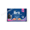 Brit Premium Cat Fish Plate (4 x 100 g)