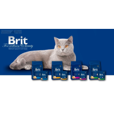 Brit Premium Cat kitten 8 kg macskaeledel