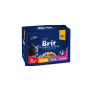 Brit Premium Cat Pouches Familiy Plate 12X100G