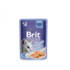 Brit Premium Delicate Fillets in Jelly with Salmon 24x85 g