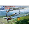  Bronco North American F-51D Mustang Korean War 1:48 (FB4012)