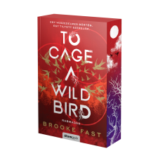 Brooke Fast - To Cage a Wild Bird – Rabmadár egyéb könyv