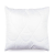 Brotex Polštářek Aloe Vera 40×40cm se zipem