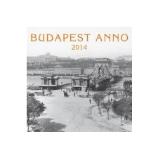  BUDAPEST ANNO 2014 - HŰTŐMÁGNES NAPTÁR naptár, kalendárium