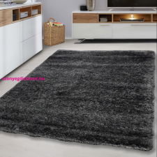Budapest Carpet EGYSZÍNŰ SHAGGY SZŐNYEG, Den CAREN 5121 antracit 80x250cm lakástextília