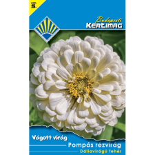 BUDAPESTI KERTIMAG VÁGOTT VIRÁG POMPÁS RÉZVIRÁG DÁLIAV.FEH. fa és növény