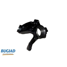 BUGIAD tengelycsonk, kerékfelfüggesztés BUGIAD BSP25045 autóalkatrész