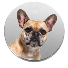Bulldog kitűző kitűző