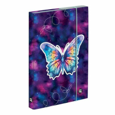 Butterfly Purple pillangós füzetbox - A5 - OXY BAG füzetbox