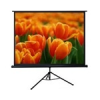 BYDIUM 200cm