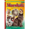 Cahs Macskák - Fajtatörténet, gondozás, ápolás