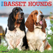 CAL 25 BASSET HOUNDS 2025 WALL – WALL naptár, kalendárium