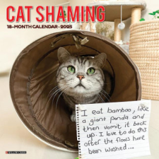 CAL 25 CAT SHAMING 2025 WALL – WALL naptár, kalendárium