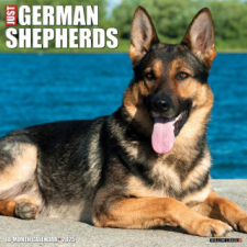 CAL 25 GERMAN SHEPHERDS 2025 WALL – WALL naptár, kalendárium
