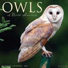CAL 25 OWLS 2025 WALL – WALL naptár, kalendárium