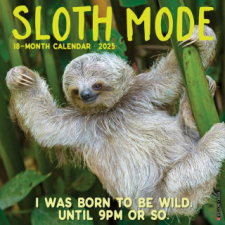 CAL 25 SLOTH MODE 2025 WALL – WALL naptár, kalendárium