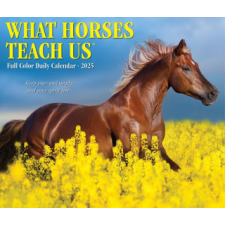 CAL 25 WHAT HORSES TEACH US 2025 BOX – BOX naptár, kalendárium