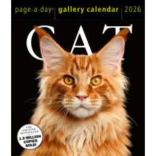 CAL 26 CAT GALLERY – BOX naptár, kalendárium