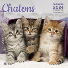  Calendrier chatons 2024 naptár, kalendárium