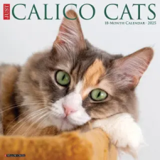  Calico Cats 2026 12 X 12 Wall Calendar idegen nyelvű könyv