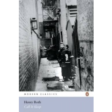  Call it Sleep – Henry Roth idegen nyelvű könyv
